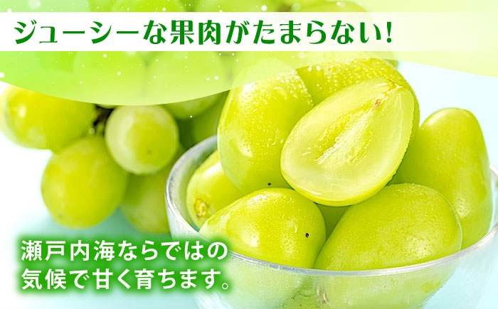 シャインマスカット 2房入り 計1kg