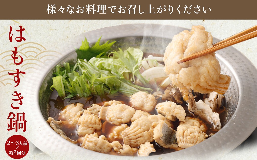 のぞみ水産 潮氷締め（野〆） 骨切り ピンク生鱧 約700g 寒ハモ