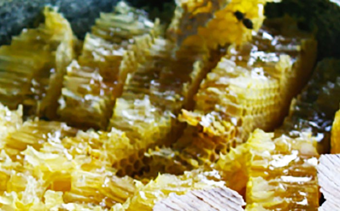 はちみつ ハチミツ 蜂蜜 ハニー ミツバチ 国産 国産蜂蜜 百花蜜 島根県 雲南