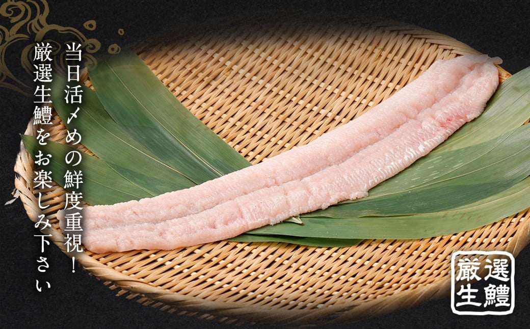 のぞみ水産 潮氷締め（野〆） 骨切り ピンク生鱧 約500g 寒ハモ