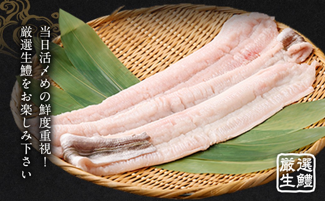 のぞみ水産 潮氷締め（野〆） 骨切り ピンク生鱧 約1kg 寒ハモ