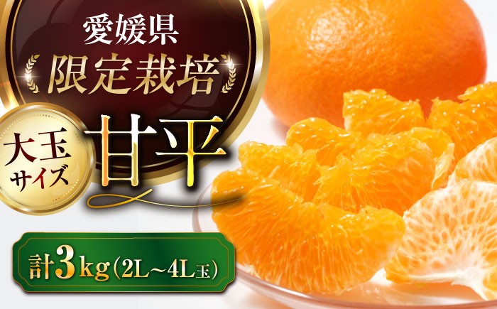  甘平（かんぺい） 2L〜4L玉サイズ 約3kg箱入（8玉～12玉入り）