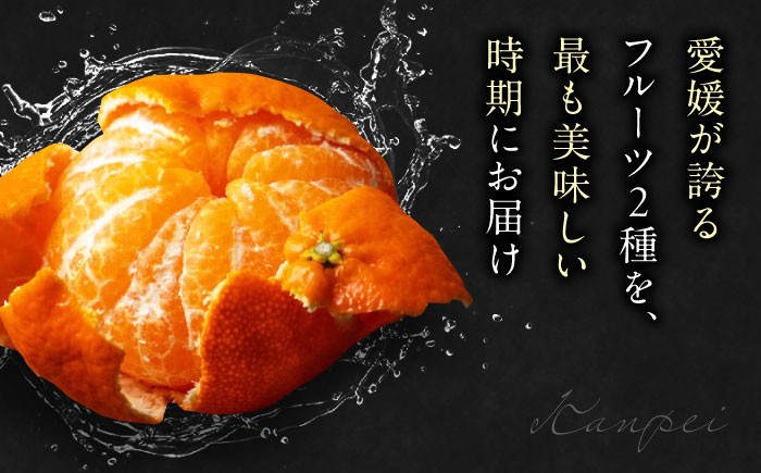  甘平（かんぺい） 2L〜4L玉サイズ 約3kg箱入（8玉～12玉入り）