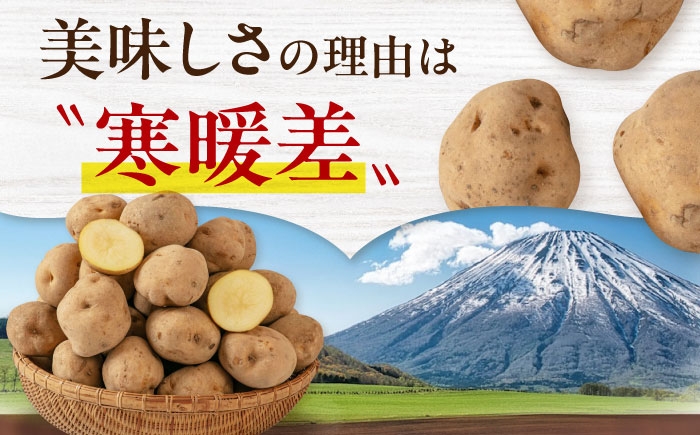 じゃがいも いも 芋 男爵 きたかむい 野菜 北海道 ポテト 国産 産地直送