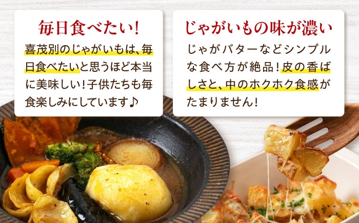 じゃがいも いも 芋 男爵 きたかむい 野菜 北海道 ポテト 国産 産地直送