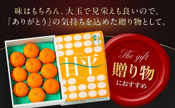 甘平（かんぺい） 2L〜4L玉サイズ 約3kg箱入（8玉～12玉入り）