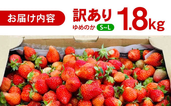 訳あり 訳あり商品 訳あり果物 果物訳あり 果物 フルーツ いちご イチゴ 苺 ストロベリー ベリー 冷凍 フローズン