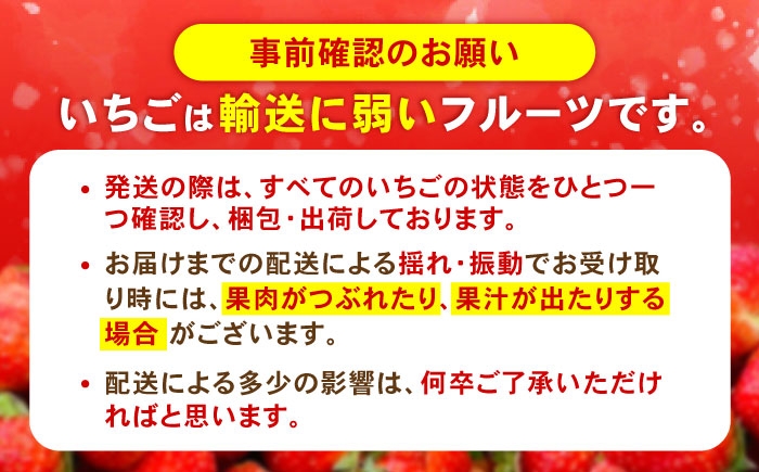 訳あり 訳あり商品 訳あり果物 果物訳あり 果物 フルーツ いちご イチゴ 苺 ストロベリー ベリー 冷凍 フローズン