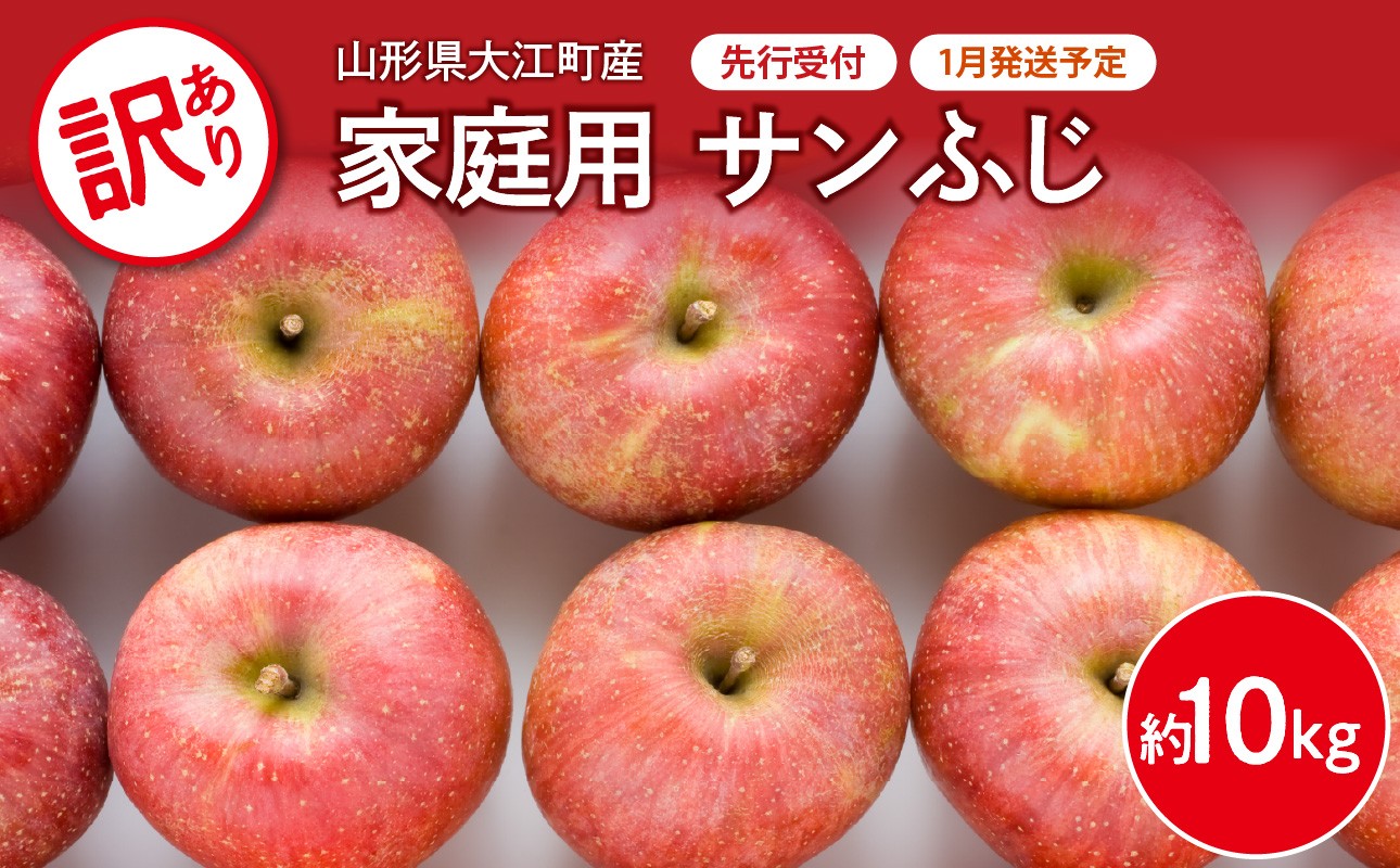 《先行受付》【2027年1月発送予定】 訳あり 家庭用サンふじ約10kg　【大江町産・山形りんご・大地農産】