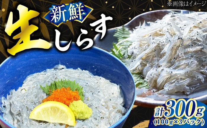 海鮮 魚介類 冷凍 水産加工品 しらす 生しらす しらす丼 小分け