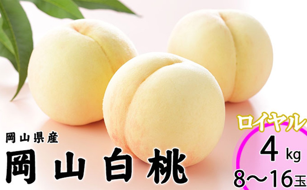 岡山白桃 ロイヤル 8~16玉 約4kg 岡山県産