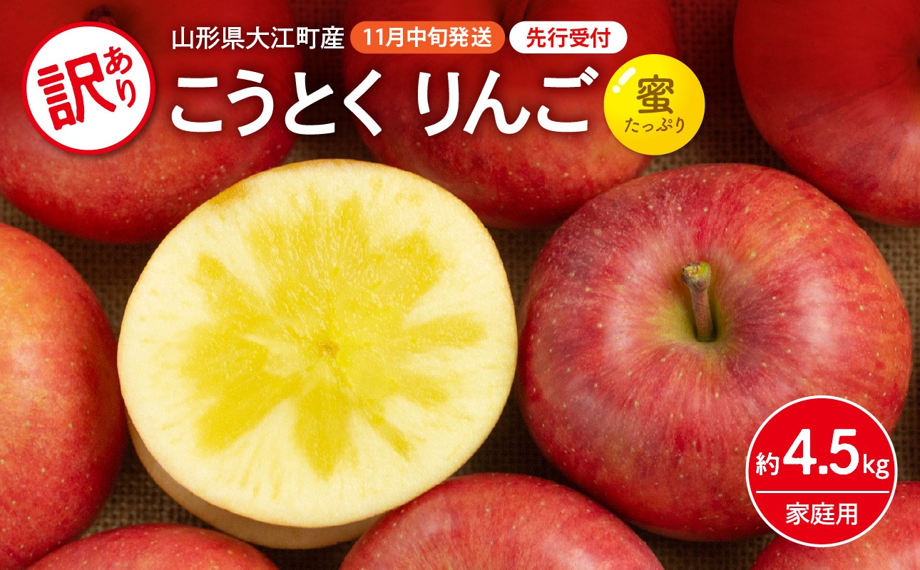 《先行受付》訳ありこうとくりんご約4.5kg 【2026年11月中旬頃～発送予定】【山形りんご・大地農産・11月・12月】