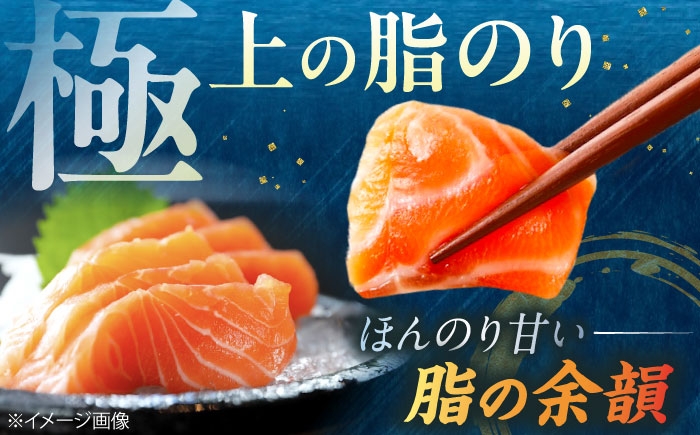【訳あり】トラウトサーモン刺身 2kg（500g×4）トラウトサーモン サーモン 刺身 鮮魚 新鮮 北海道産 お取り寄せ グルメ