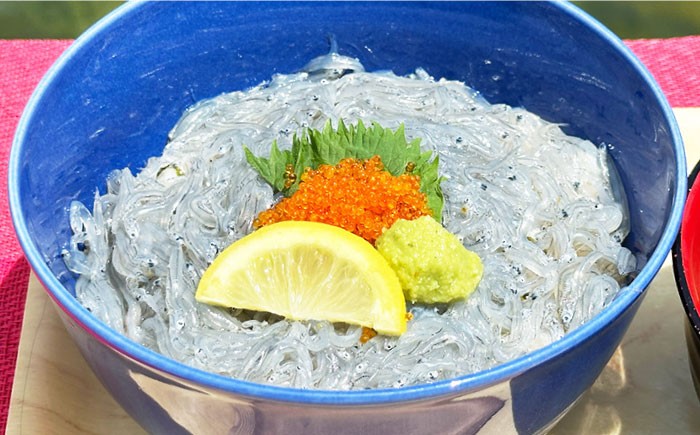 海鮮 魚介類 冷凍 水産加工品 しらす 生しらす しらす丼 小分け