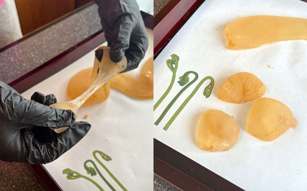 好きな大きさにちぎってお召し上がりください(喉に詰まらせないよう、お気をつけください)