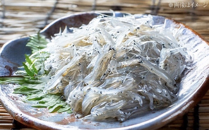 海鮮 魚介類 冷凍 水産加工品 しらす 生しらす しらす丼 小分け