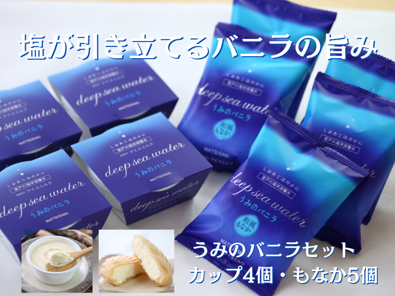 室戸海洋深層水使用の塩バニラ最中＆カップアイス9個セット