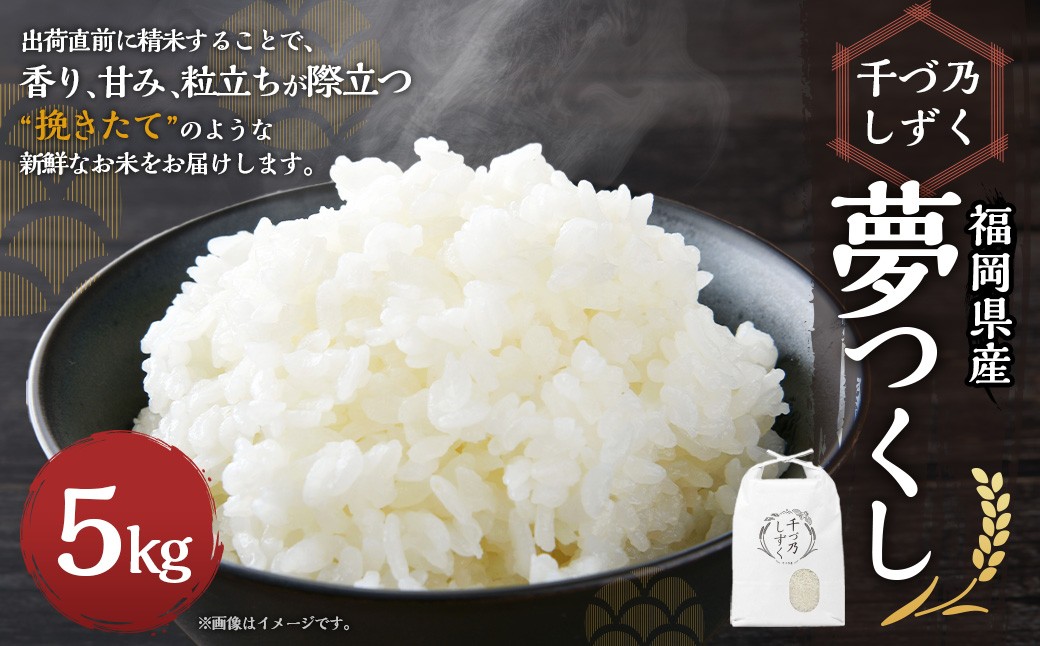 【令和7年産】福岡県産 夢つくし〈千づ乃しずく〉 約5kg 精米 S001