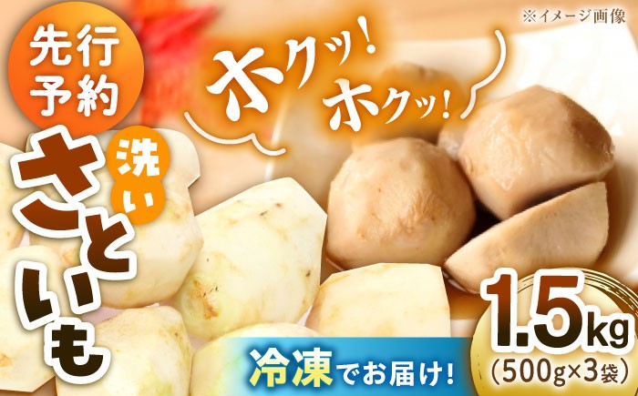 里芋 おうちごはん 和食 朝ごはん 里芋の煮っころがし 里芋の煮物 里芋コロッケ 味噌汁 畑 野菜 新鮮