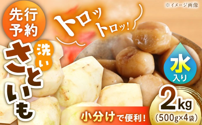 里芋 おうちごはん 和食 朝ごはん 里芋の煮っころがし 里芋の煮物 里芋コロッケ 味噌汁 畑 野菜 新鮮
