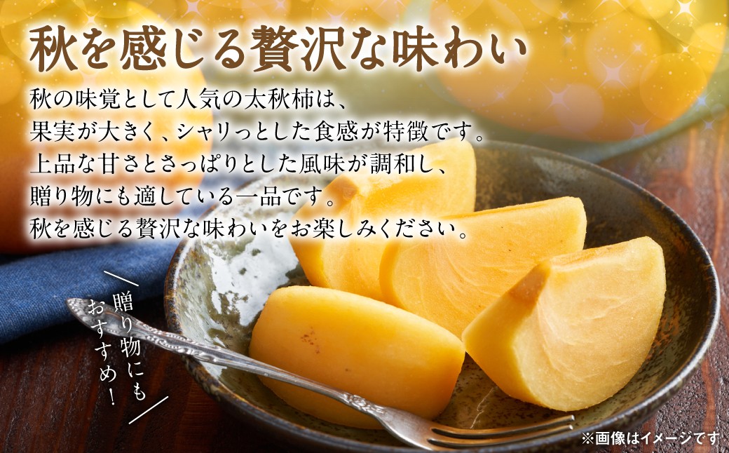 秋の味覚として人気の太秋柿は、果実が大きく、シャリっとした食感が特徴です。