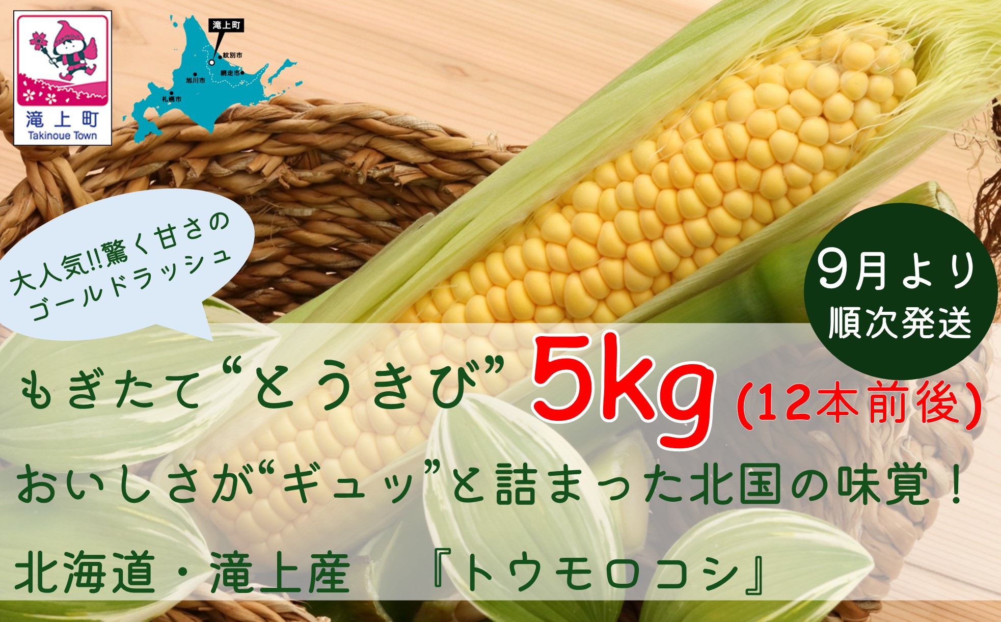まるでメロンやブドウのような甘さと柔らかい皮が特徴のゴールドラッシュ約5kgのお届けとなります。