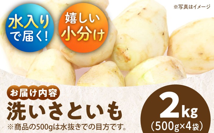 里芋 おうちごはん 和食 朝ごはん 里芋の煮っころがし 里芋の煮物 里芋コロッケ 味噌汁 畑 野菜 新鮮