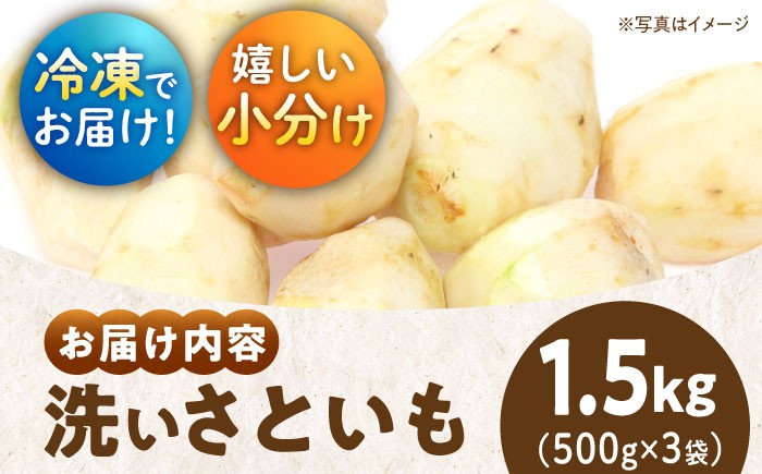 里芋 おうちごはん 和食 朝ごはん 里芋の煮っころがし 里芋の煮物 里芋コロッケ 味噌汁 畑 野菜 新鮮