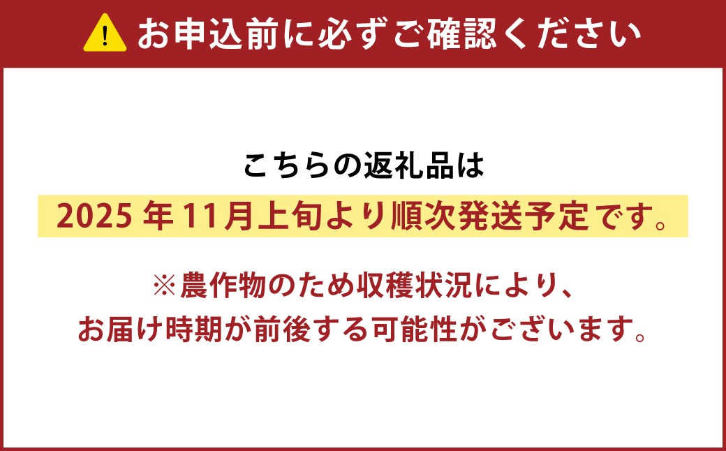 ［先行受付］おとふけ産マンゴー「白銀の太陽プレミアム」2Lサイズ×1玉【D25】《2025年11月上旬より発送開始予定》