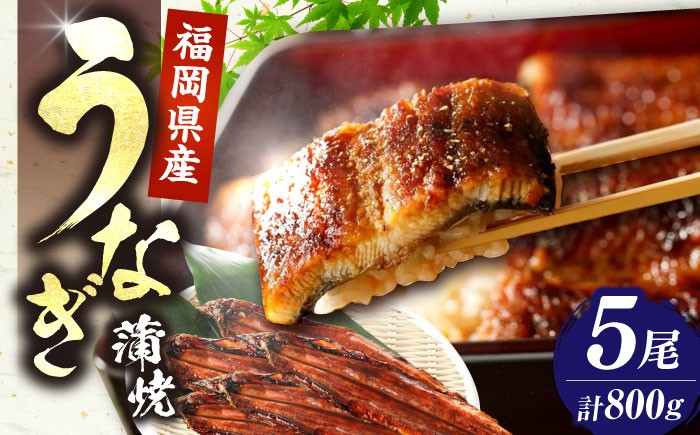 うなぎ 鰻 国産 福岡県産 蒲焼 かば焼き 土用 丑の日 ギフト 贈答