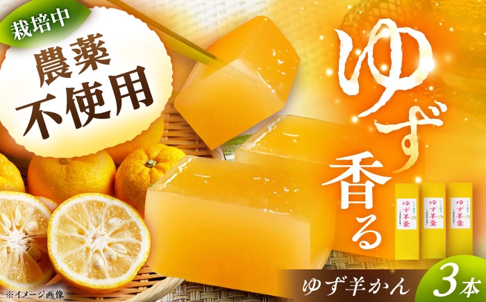 ようかん 羊羹 和菓子 柚子 ゆず 中元 手土産 お茶菓子 お菓子 和スイーツ 贈答 ギフト おすすめ 人気 岐阜県 恵那市