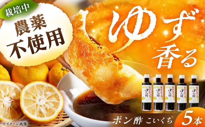 ポン酢 ぽん酢 こいくち 調味料 濃口 こいくちポン酢 濃口ぽん酢 味付け 贈答 ギフト おすすめ 人気 岐阜県 恵那市