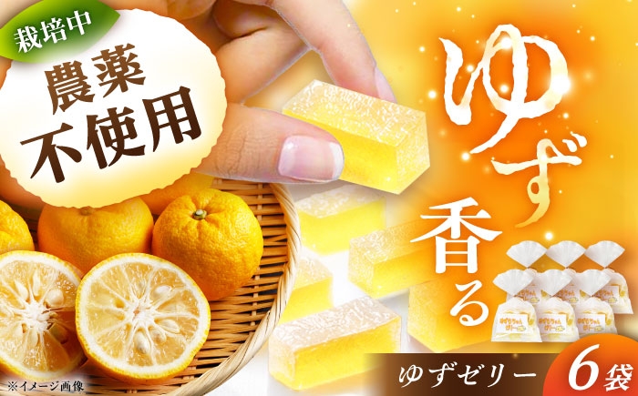 ゼリー ゆずゼリー 柚子ゼリー お菓子 柚子 ゆず 中元 手土産 お茶菓子 贈答 ギフト おすすめ 人気 岐阜県 恵那市