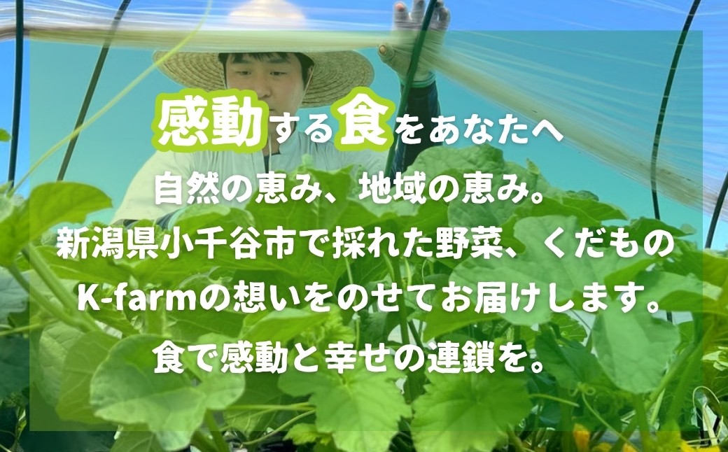有機肥料を使った土づくりのこだわり　K-farmおすすめのメロン5種類から2玉