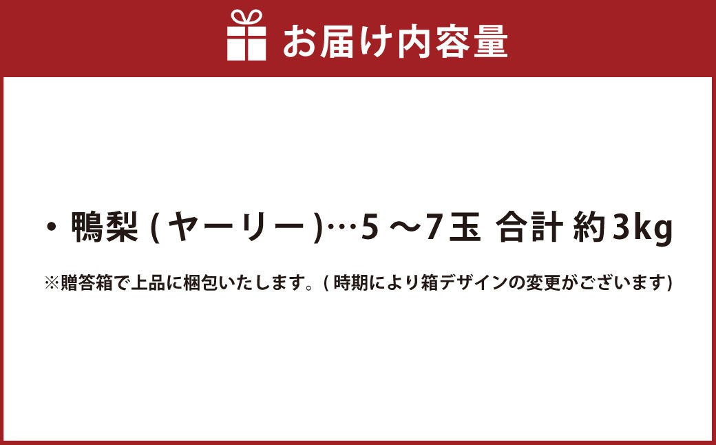 鴨梨 (ヤーリー) 5~7玉 約3kg 贈答箱