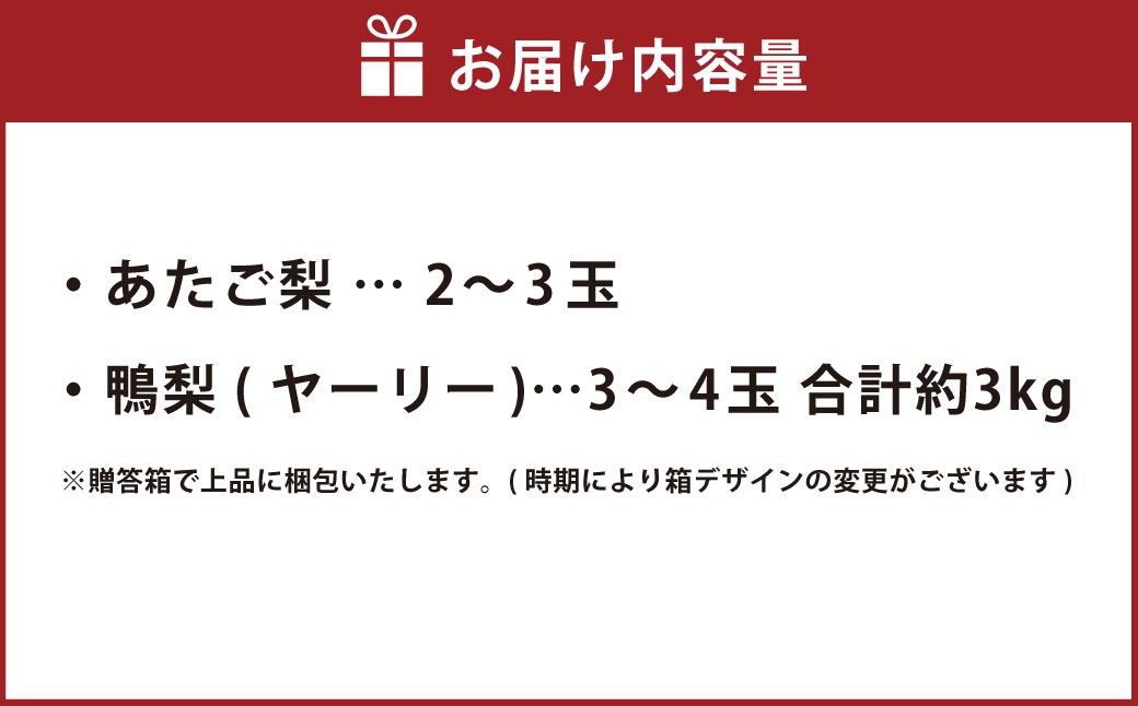 あたご梨 2~3玉 ・ 鴨梨 (ヤーリー) 3~4玉 詰合せ 合計約3kg 贈答箱