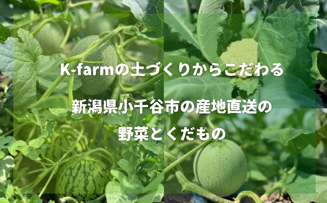 有機肥料を使った土づくりのこだわり　K-farmおすすめのメロン5種類から2玉