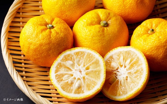 ポン酢 ぽん酢 こいくち 調味料 濃口 こいくちポン酢 濃口ぽん酢 味付け 贈答 ギフト おすすめ 人気 岐阜県 恵那市