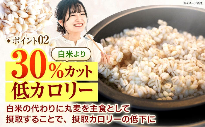 麦 むぎ 大麦 雑穀 雑穀米 麦ごはん ごはん 食物繊維 長崎県産 5キロ 定期便