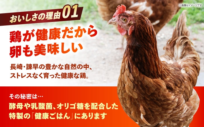 卵 玉子 たまご タマゴ 赤たまご 卵焼き 玉子焼き 生卵 ゆで卵 鶏卵 黄身 鶏 卵かけごはん とれたて