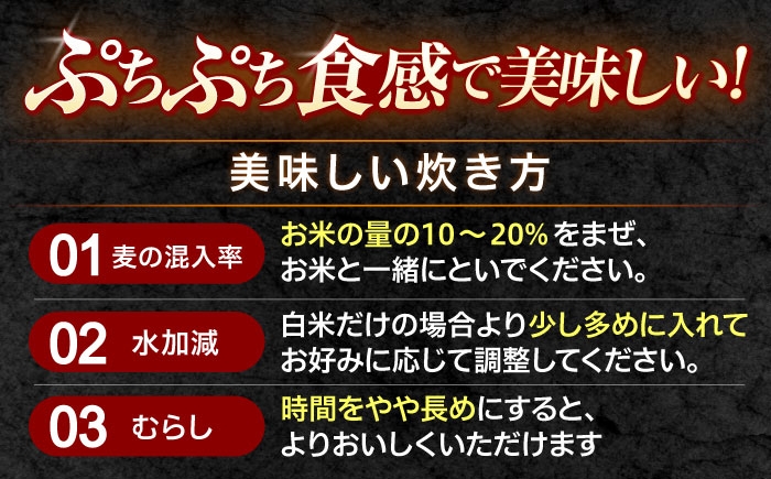 麦 むぎ 大麦 雑穀 雑穀米 麦ごはん ごはん 食物繊維 長崎県産 5キロ 定期便