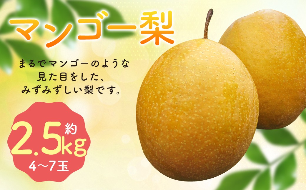 【2025年10月下旬より12月下旬迄順次発送予定】 王秋梨 （ マンゴー梨 ） 約2.5kg （ 4-7玉 ）