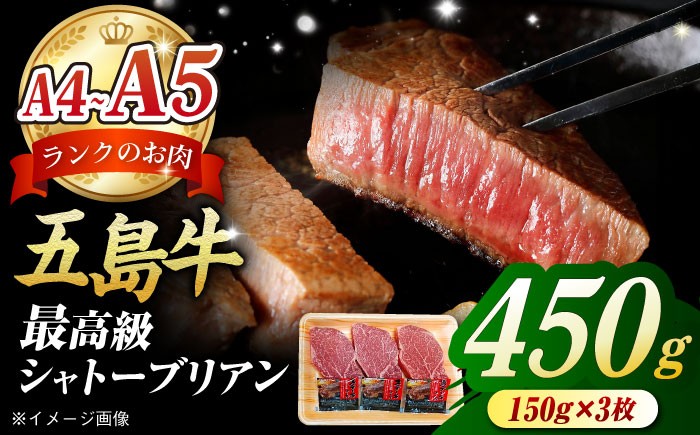 牛肉 ヒレ ヒレステーキ A4 A5 国産 和牛 ステーキ シャトーブリアン