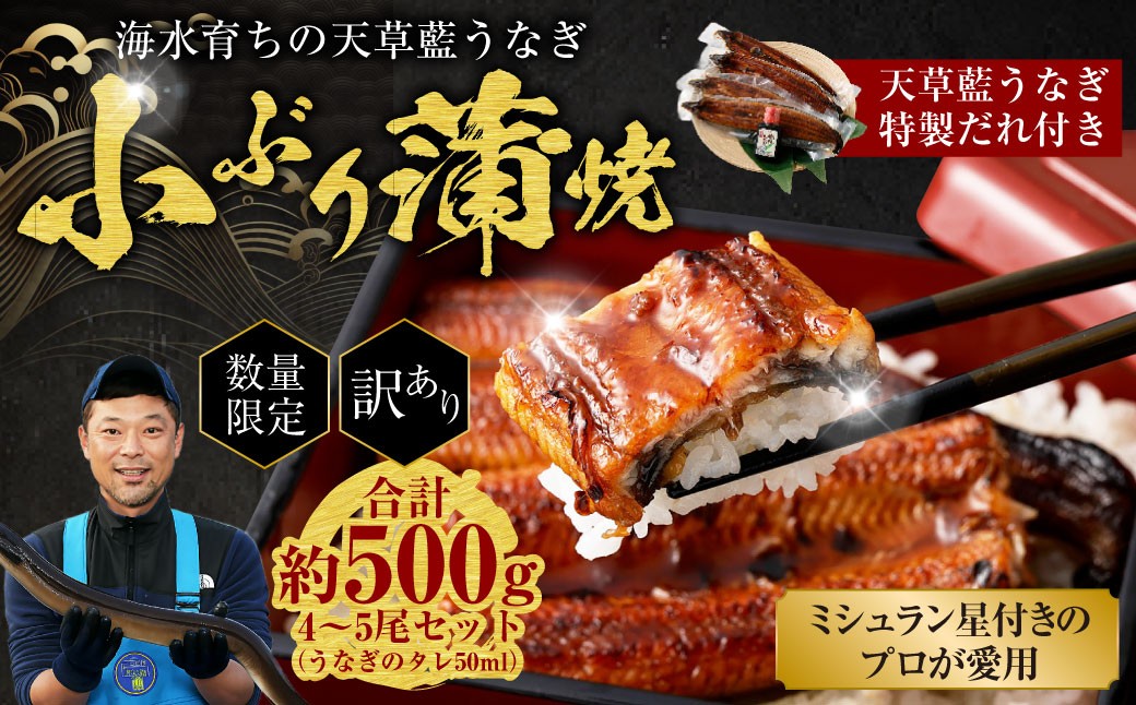 海育ちの 天草 藍うなぎ 小ぶり 蒲焼 500g(4~5尾)