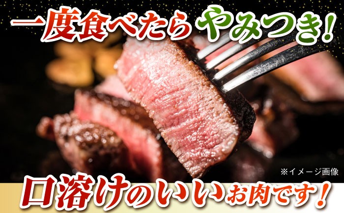牛肉 ヒレ ヒレステーキ A4 A5 国産 和牛 ステーキ シャトーブリアン