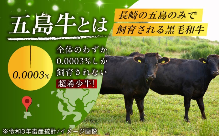 牛肉 ヒレ ヒレステーキ A4 A5 国産 和牛 ステーキ シャトーブリアン