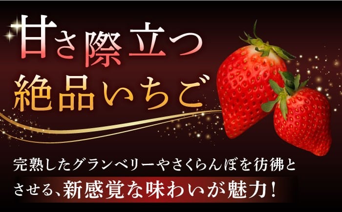 テレビ等メディアで多数紹介されています！