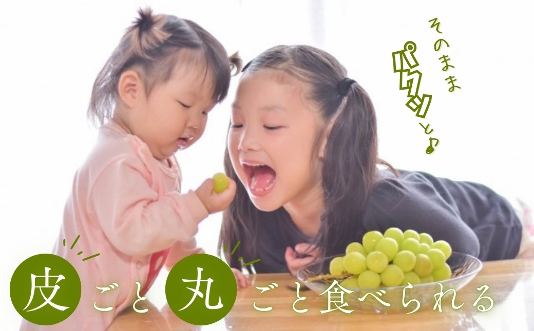 訳あり シャインマスカット 家庭用 約2kg（4~6房）※最低1.8kg以上