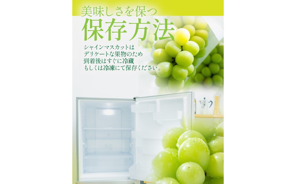 【2025年9月上旬〜11月下旬発送予定】【岡山県産】シャインマスカット約2.0kg  （3～4房）