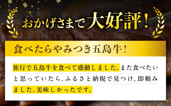 国産 和牛 ステーキ 焼肉 BBQ 鉄板 ブランド 九州 赤身 限定 希少 ヒレ ヒレステーキ